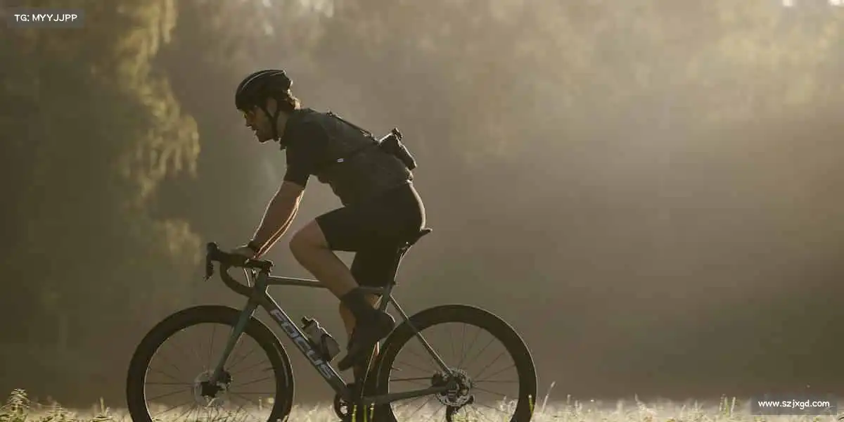 赌狗——用汗水诠释热爱,以专业成就梦想!🏋️♂️